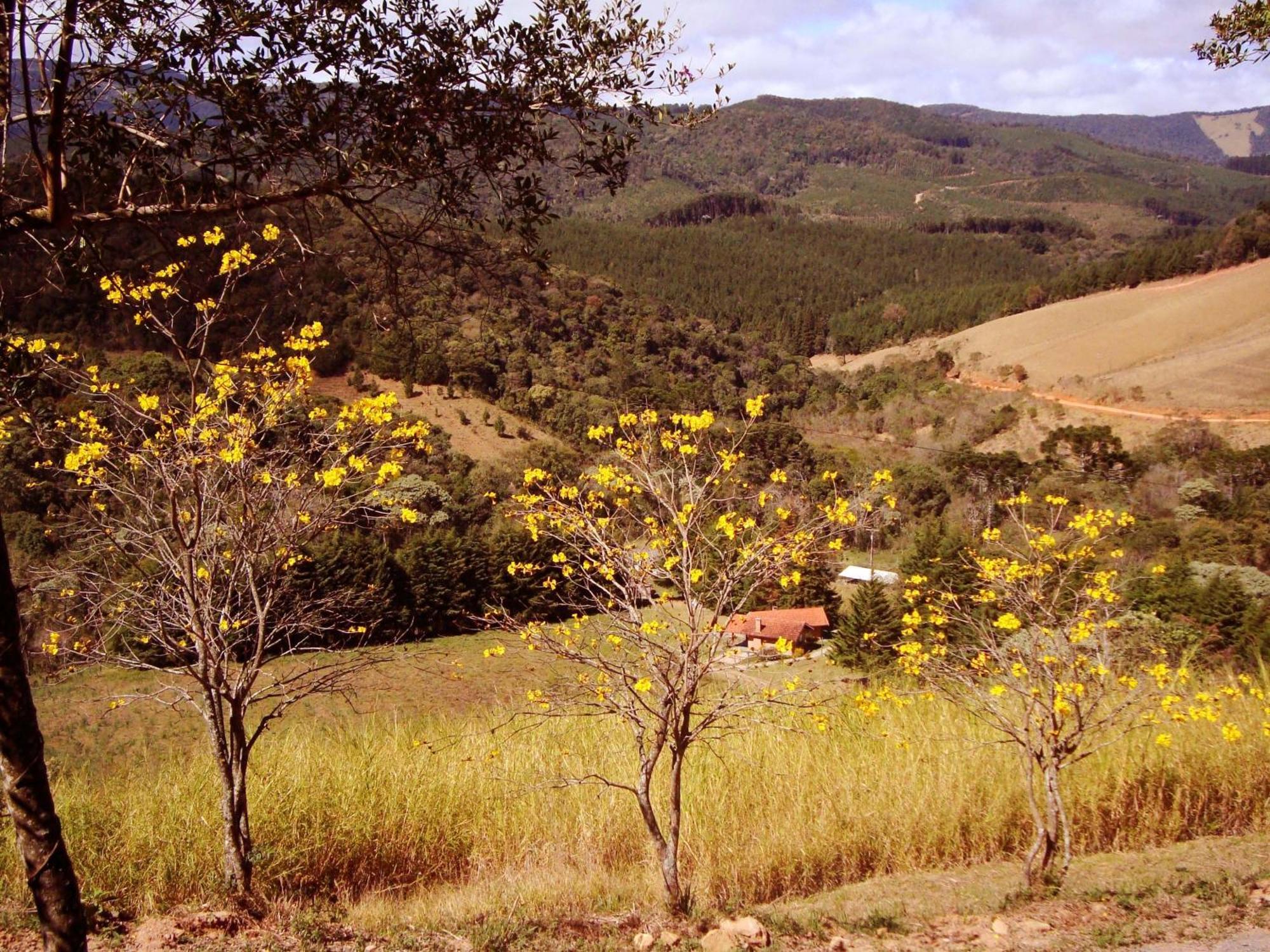 Chales Estrada De Chao Monte Verde  Luaran gambar